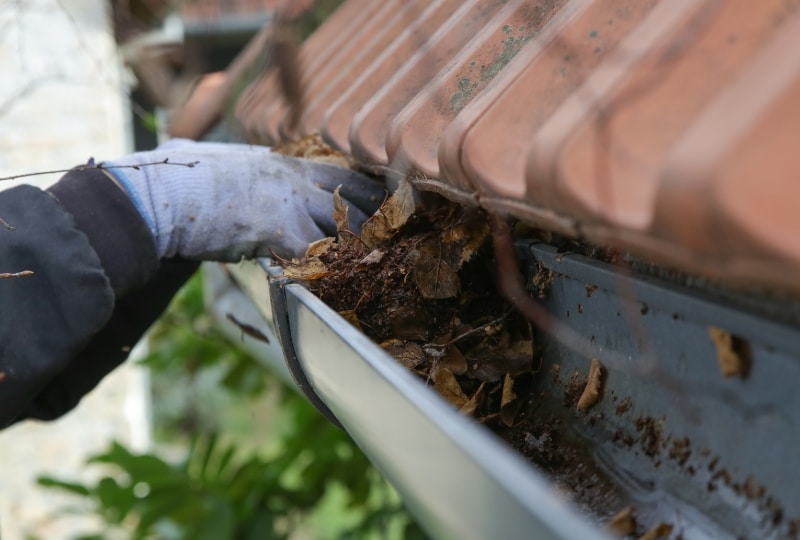Professional Gutter Cleaning Services